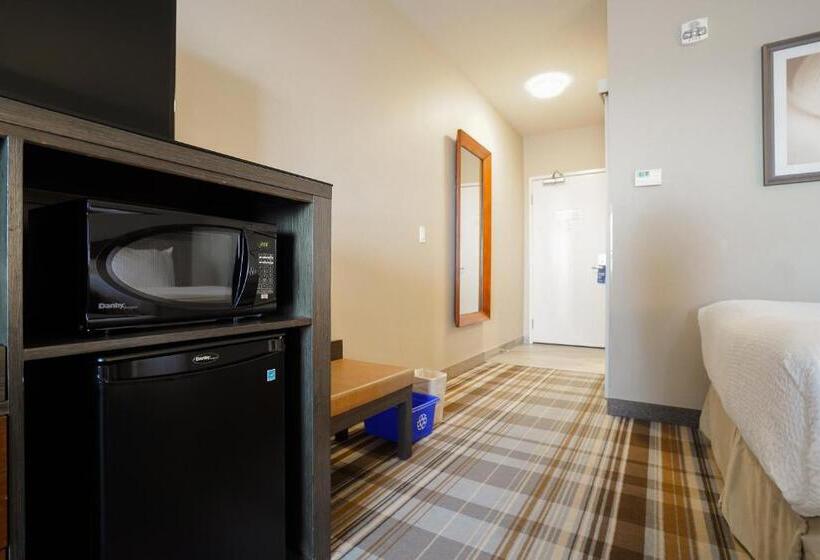 キングサイズベッドのデラックスルーム, Fairfield Inn & Suites By Marriott Airdrie