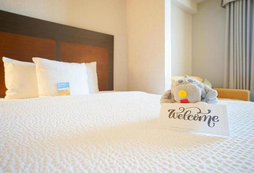 חדר דחוקס עם מיטת קינג, Fairfield Inn & Suites By Marriott Airdrie