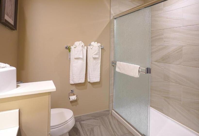 חדר דחוקס עם מיטת קינג, Fairfield Inn & Suites By Marriott Airdrie