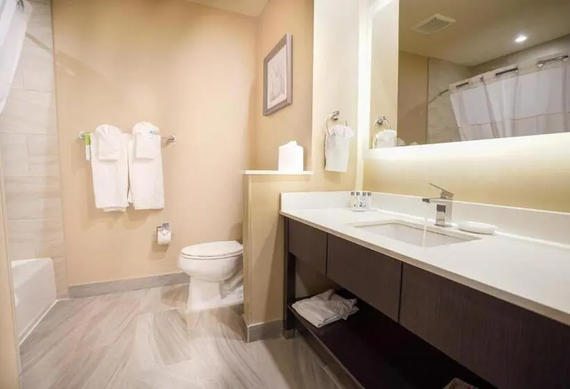 Deluxe-sviitti, Fairfield Inn & Suites By Marriott Airdrie