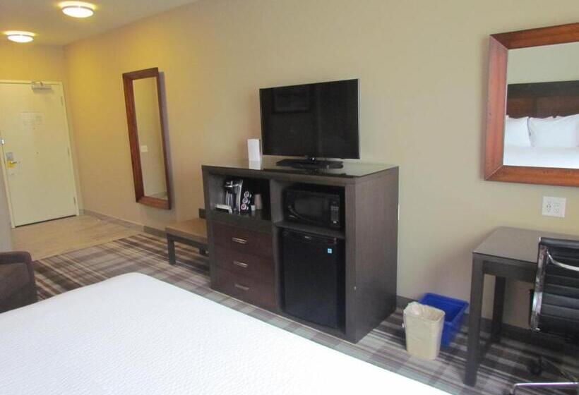 身障者適用キングサイズベッドルーム, Fairfield Inn & Suites By Marriott Airdrie