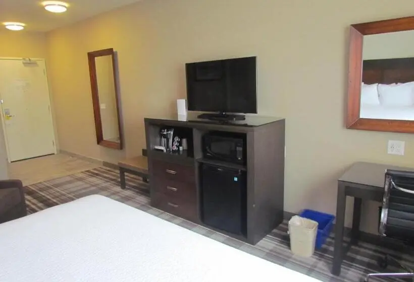 Standard-invahuone King-vuode, Fairfield Inn & Suites By Marriott Airdrie