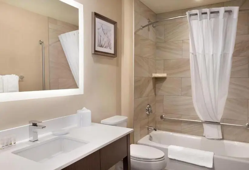 Standard-invahuone King-vuode, Fairfield Inn & Suites By Marriott Airdrie