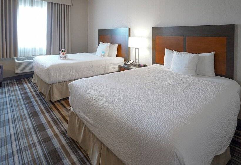 חדר סטנדרט, Fairfield Inn & Suites By Marriott Airdrie