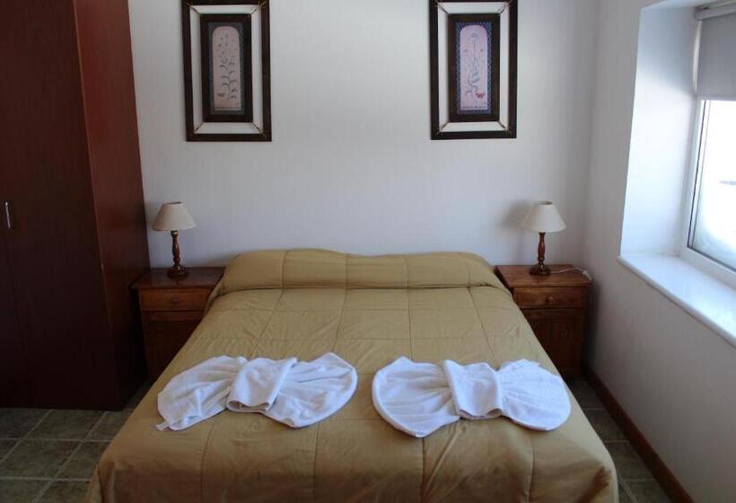 １ベッドルームのデラックスアパートメント, Arquimedes