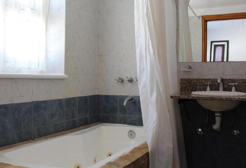 １ベッドルームのデラックスアパートメント, Arquimedes