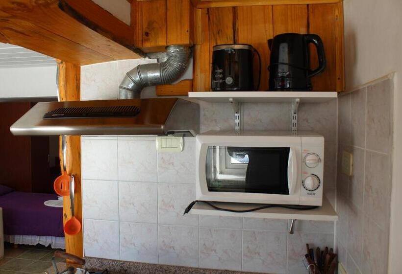 １ベッドルームのデラックスアパートメント, Arquimedes