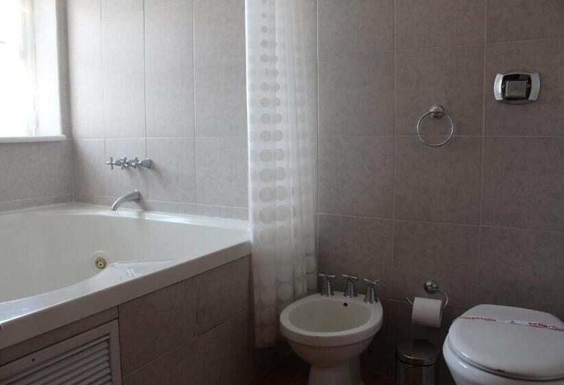 １ベッドルームのデラックスアパートメント, Arquimedes