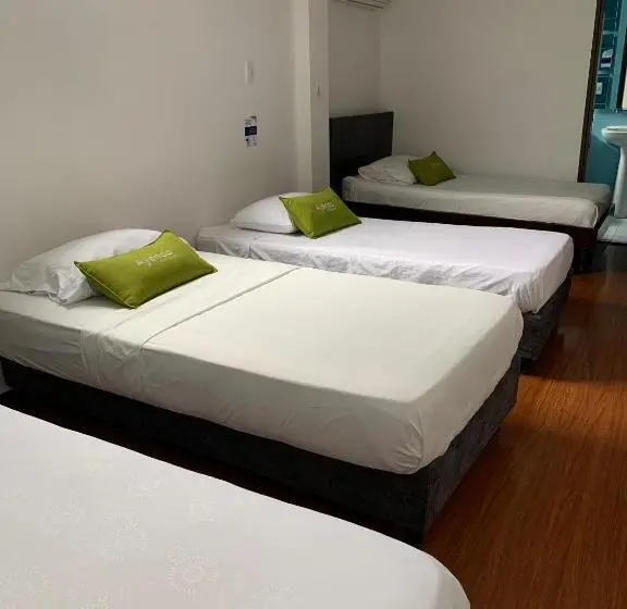 スタンダード４人部屋, Castellón Plaza
