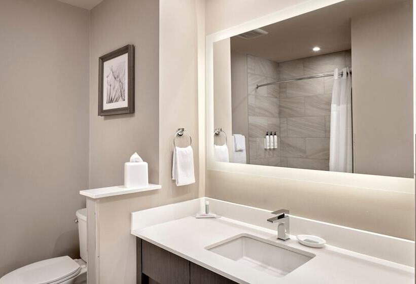 スタンダードルーム, Fairfield Inn & Suites By Marriott Airdrie
