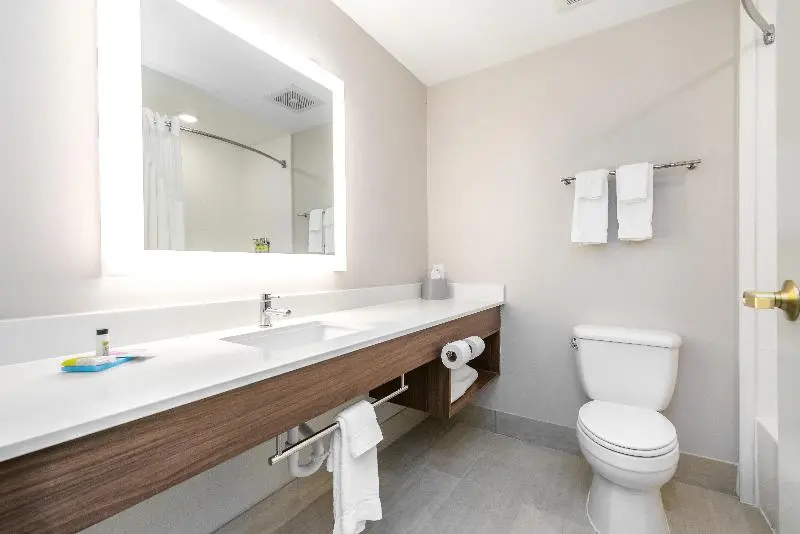 身障者適用キングサイズベッドルーム, Holiday Inn Express Hotel & Suites Lagrange I 85, An Ihg