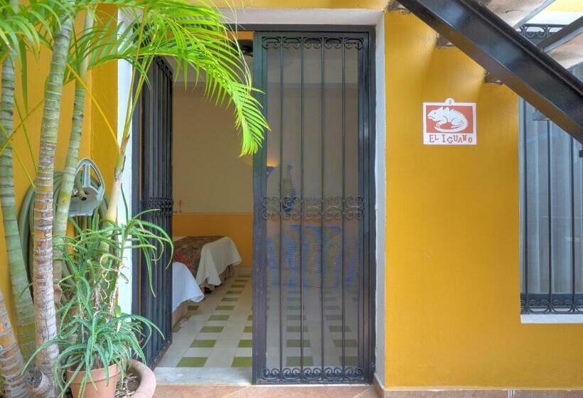 غرفة قياسية رباعية, Luz En Yucatan