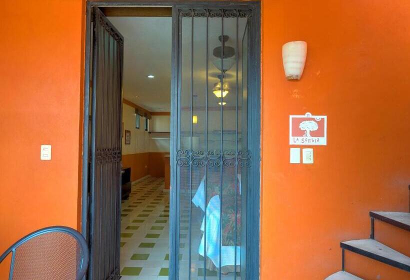 غرفة قياسية ثلاثية مطلة علي حمام السباحة, Luz En Yucatan