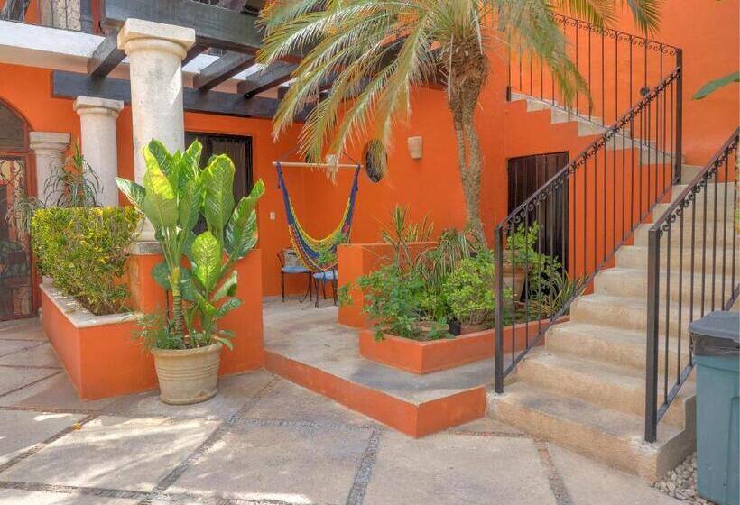 غرفة قياسية مطلّة علي حمام السباحة, Luz En Yucatan