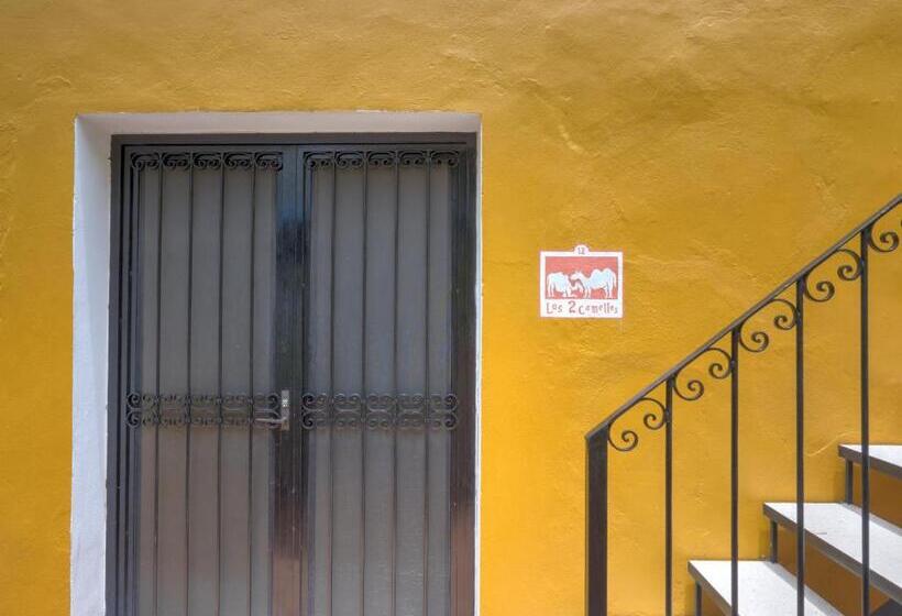 غرفة ديلوكس, Luz En Yucatan