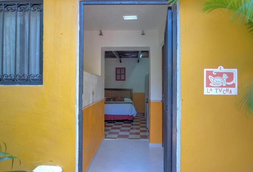 غرفة قياسية رباعية, Luz En Yucatan