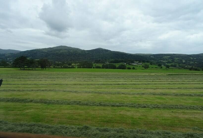 Deluxe-huone, The Groes Inn