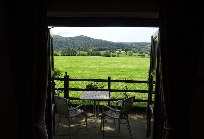 Deluxe-huone, The Groes Inn