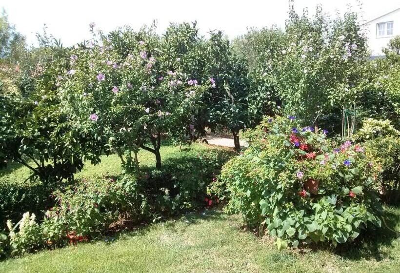 Апартаменты 1 Спальня с Террасой, Villa Daniela