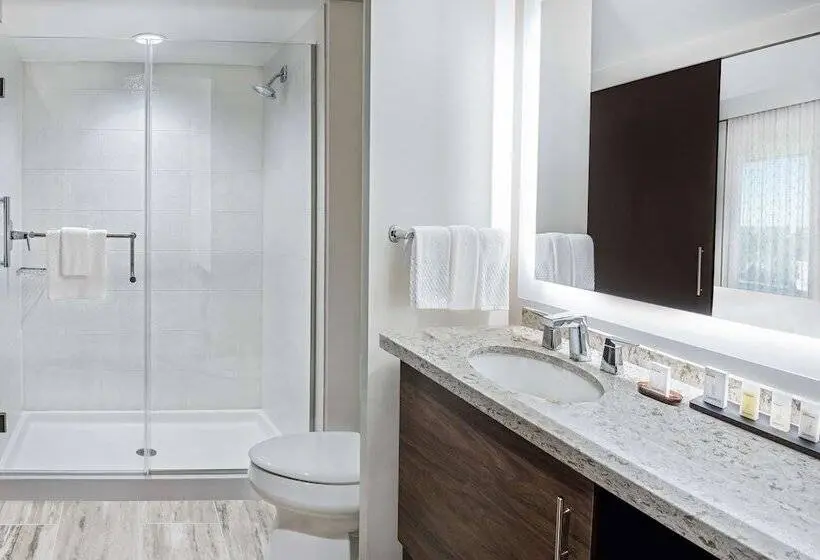 استودیوی استاندارد با تخت دوبل, Embassy Suites By Hilton College Station, Tx