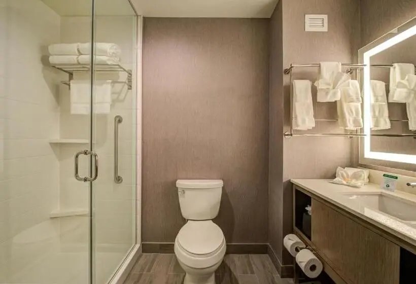 Sviitti King-vuode, Holiday Inn Hotel & Suites Houston West Katy Mills, An Ihg