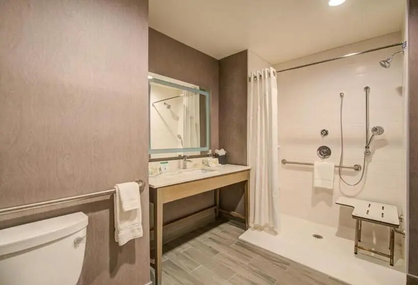 Standard-invahuone, Holiday Inn Hotel & Suites Houston West Katy Mills, An Ihg