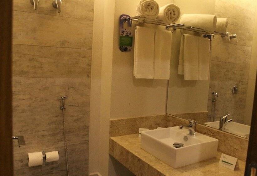 Номер Стандарт 2 Двуспальные Кровати, Holiday Inn Goiania, An Ihg