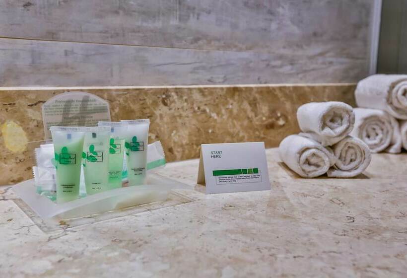 스탠다드 룸 더블 침대 2개, Holiday Inn   Goiania, An Ihg