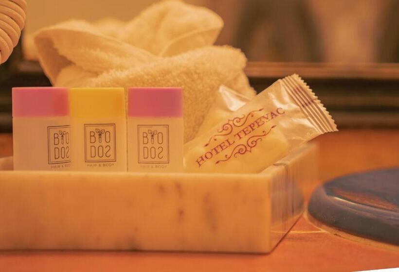 스탠다드 룸, Tepeyac