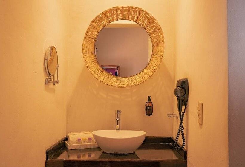 스탠다드 룸, Tepeyac