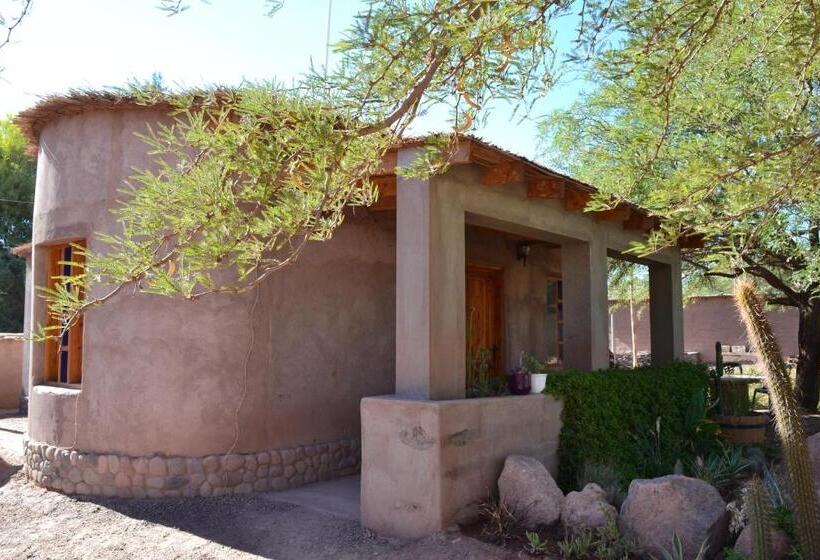 标准平房, Hostal Y Cabañas Renta House San Pedro