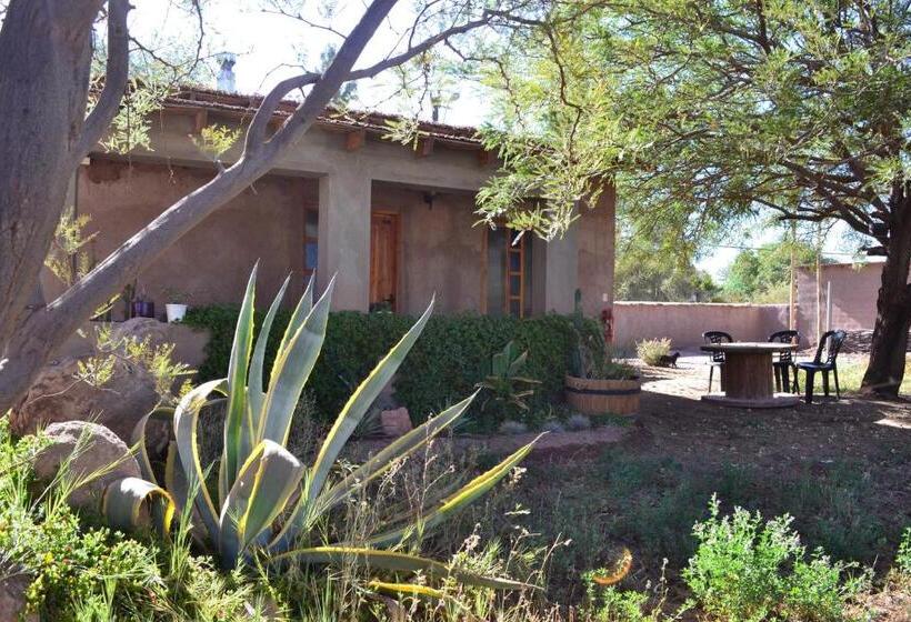 标准平房, Hostal Y Cabañas Renta House San Pedro