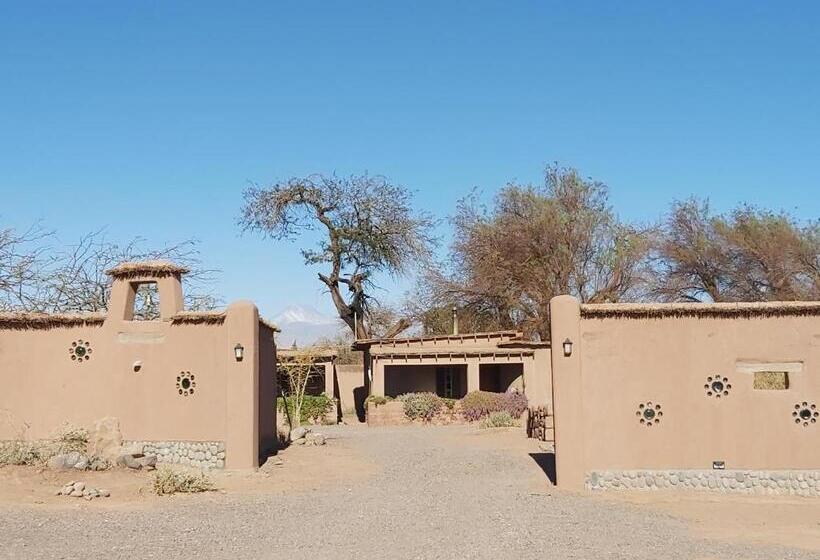بانگلوی استاندارد, Hostal Y Cabañas Renta House San Pedro