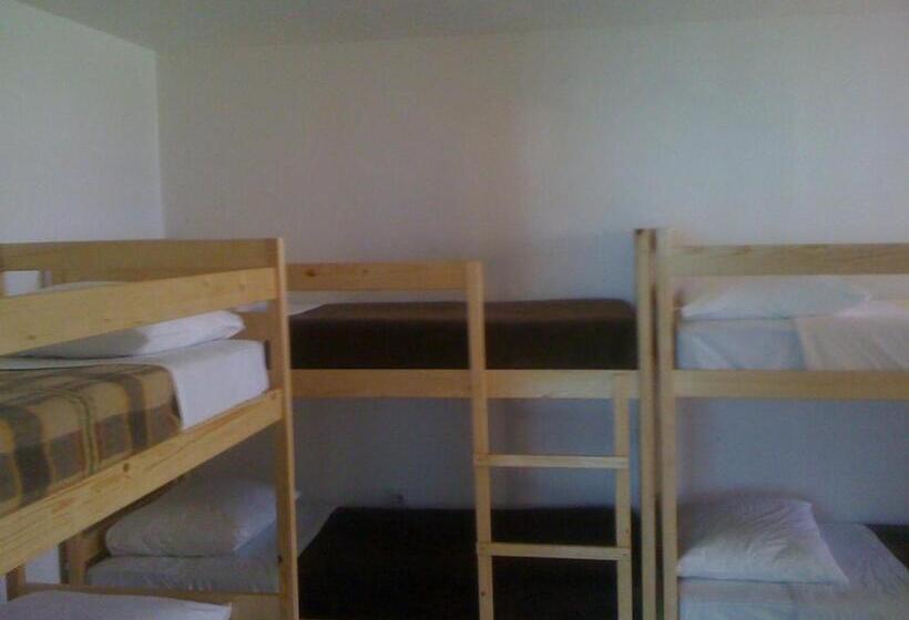 Кровать в Общей Комнате, Hostel Amfora