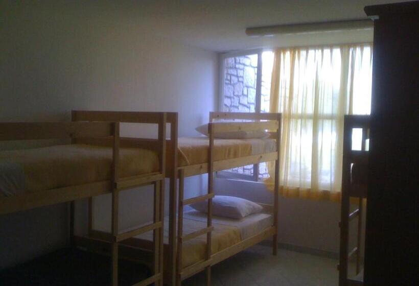 تختخواب در اتاق مشترک, Hostel Amfora