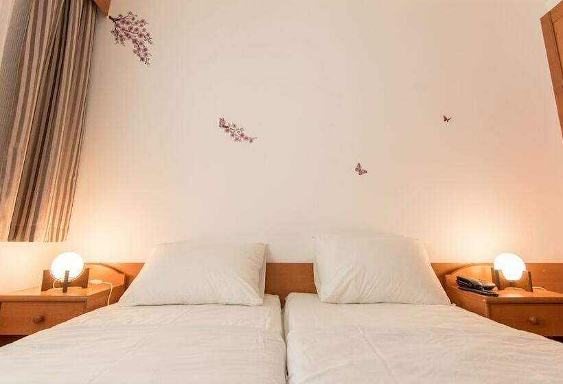 스탠다드 룸, Barba