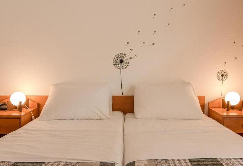 스탠다드 싱글 룸, Barba