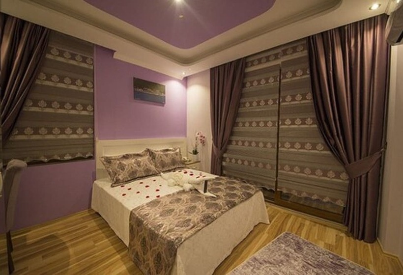 Номер Стандарт, Kayı