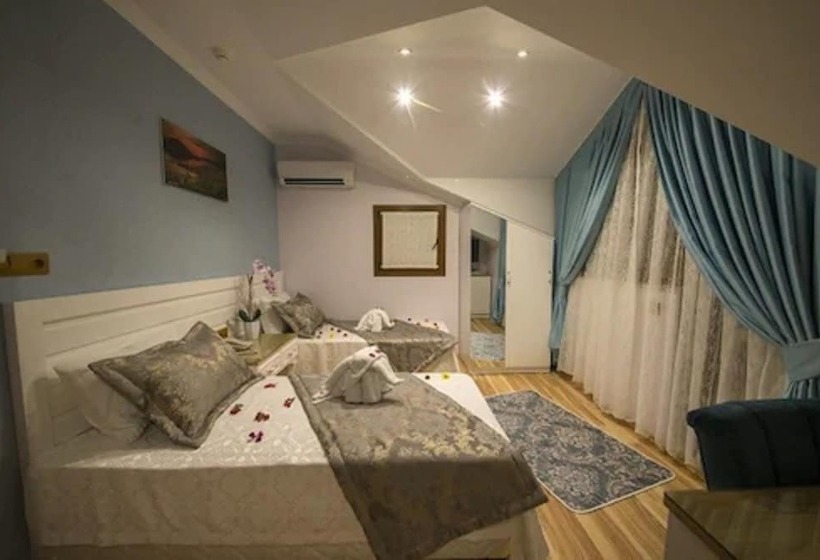 Номер Стандарт, Kayı
