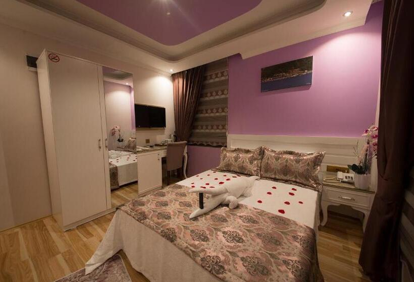 Номер Стандарт, Kayı
