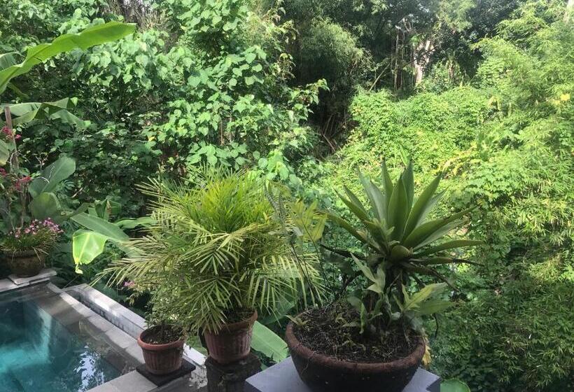 חדר סופריור, Suastika Guest House Ubud