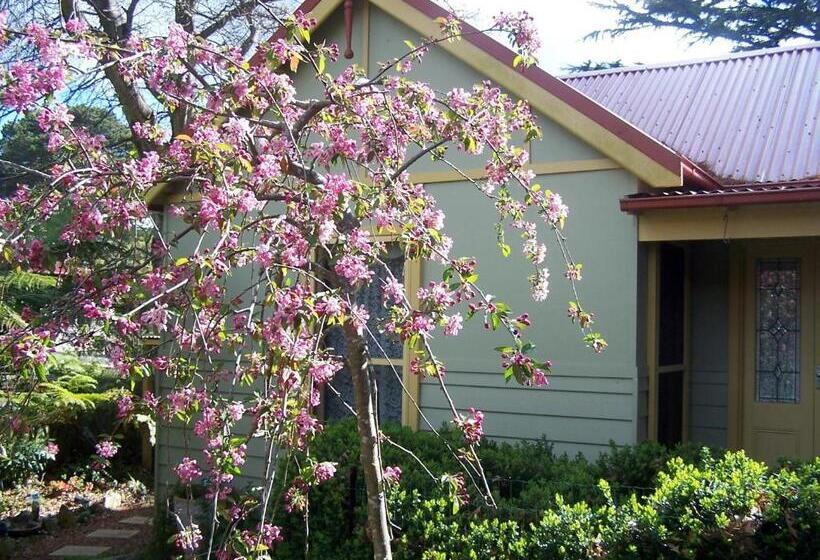 스탠다드 스튜디오 정원 전망, Shelton Lea