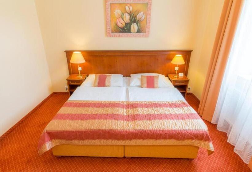 غرفة سوبيريور, Ensana Centrální Lázně   Maria Spa