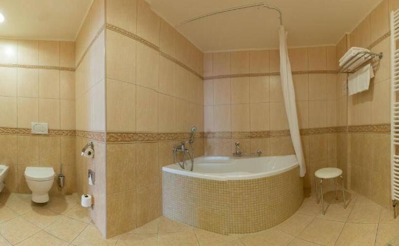 １ベッドルームアパートメント, Ensana Centrální Lázně   Maria Spa