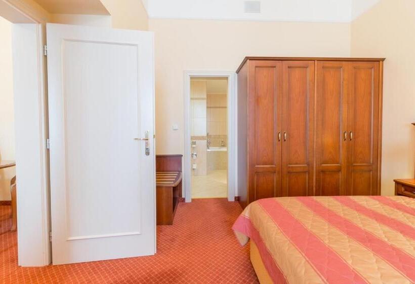 شقة غرفة واحدة, Ensana Centrální Lázně   Maria Spa