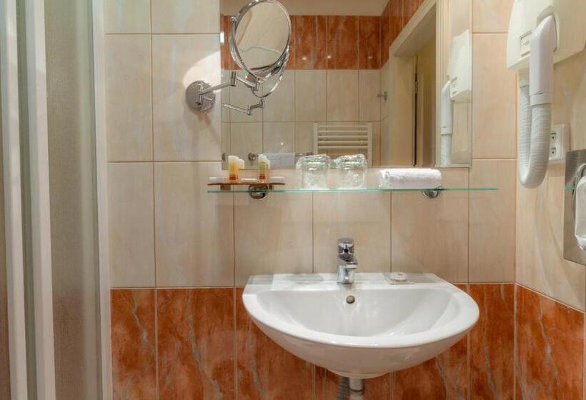 庭の見えるシングルルーム, Ensana Centrální Lázně   Maria Spa