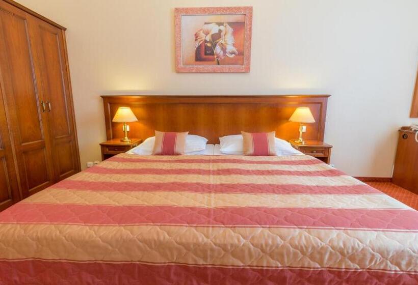 غرفة سوبيريور, Ensana Centrální Lázně   Maria Spa