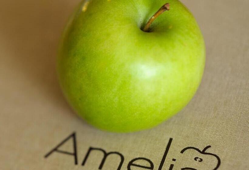 Comfort room with balcony, Amelia Rooms