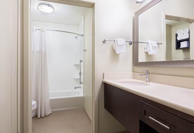 标准工作室, Staybridge Suites   Miami International Airport, An Ihg