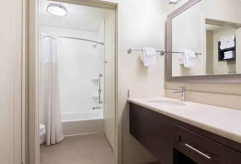 スタンダードスタジオ, Staybridge Suites   Miami International Airport, An Ihg